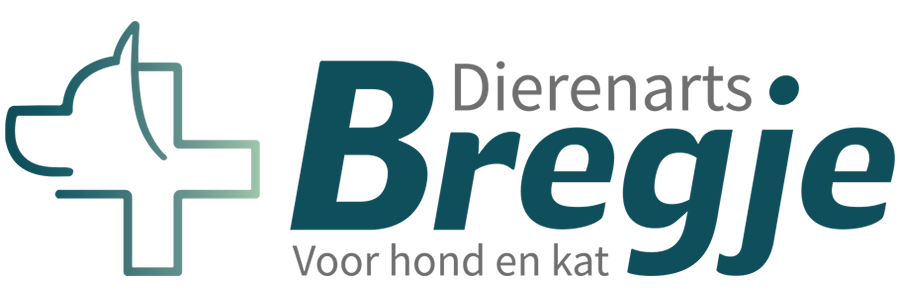 Dierenarts Bregje